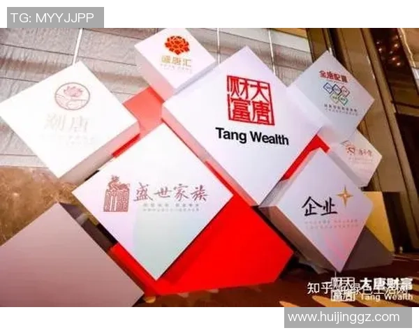 高净值客户专属投注经纪服务深度定制化体验解析